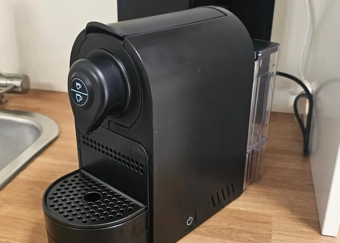 招待所 Increasing Garibaldi - Station & Centre 4*